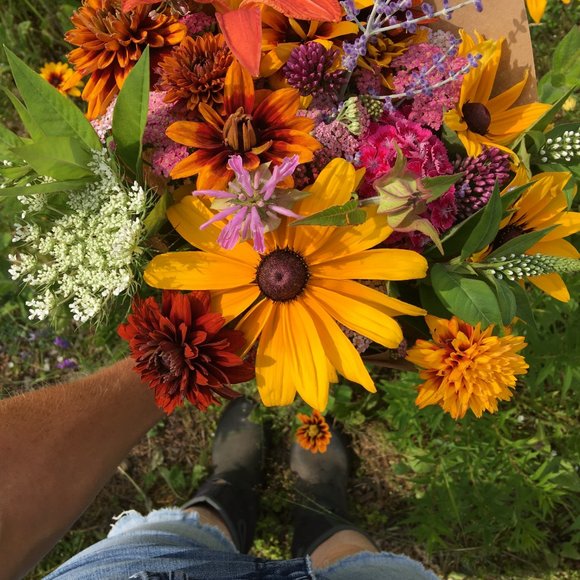 Meet your Posher, Jocelyn - Picture 1 of 1